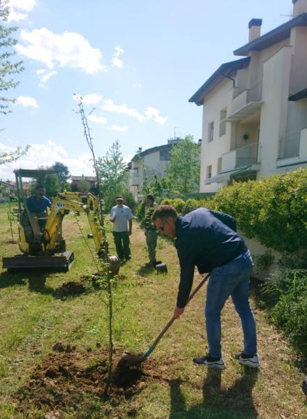 Castel-Bolognese-piantumazione-alberi