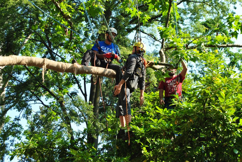 Campionati-Italiani-di-TreeClimbing-2018