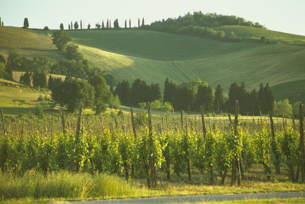 PIAE-assunta-la-proposta-di-Variante-Generale-del-Piano-Infraregionale-delle-Attivita-Estrattive