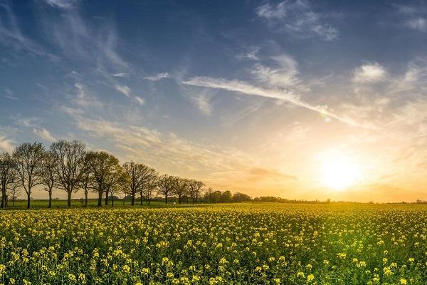 Questionario-qualita-dell-Aria-in-Emilia-Romagna